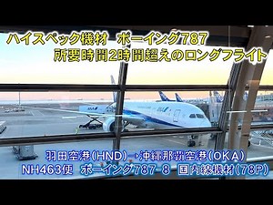 【フライト体験記】ANA463便で羽田空港から沖縄那覇空港まで移動してきた