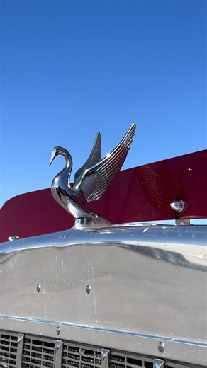 The Power of Peterbilt: Big Diesel Media's Showcase