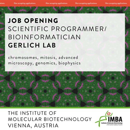 We are hiring! Join the Gerlich lab as a scientific programmer/bioinformatician and join an interdisciplinary team studying fundamental mechanisms of chromosome organization, DNA repair, and cell division. Apply to the scientific programmer/bioinformatician position at IMBA: https://www.oeaw.ac.at/imba/career-education/open-positions/scientific-programmer-bioinformatician-gerlich-lab #research #jobs #europe #biology | Institute of Molecular Biotechnology