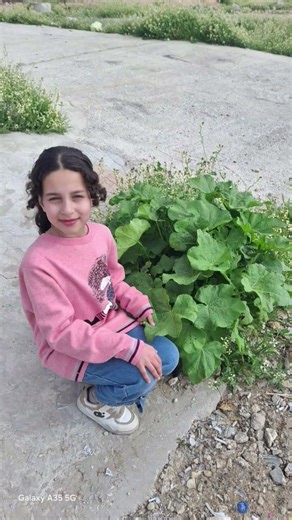 ١٠ أبريل ٢٠٢٦