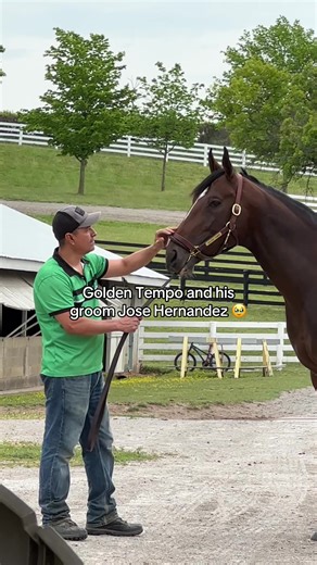 The bond you don’t always see, but means everything 💞 #kentuckyderby #derby #equestrian #horsetok #bts