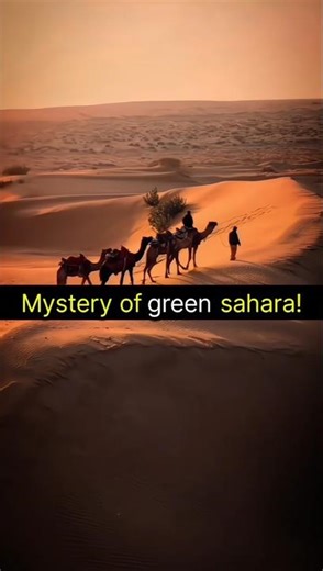 Sahara was a JUNGLE! 😱🌳 | The Green Sahara Mystery | Knowledge City