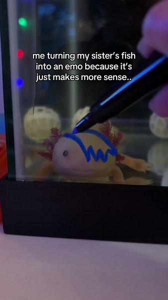 me turning my sister’s fish into an emo because it’s just makes more sense..