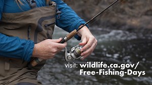 34K views · 124 reactions | July 5 is the first of two Free Fishing...