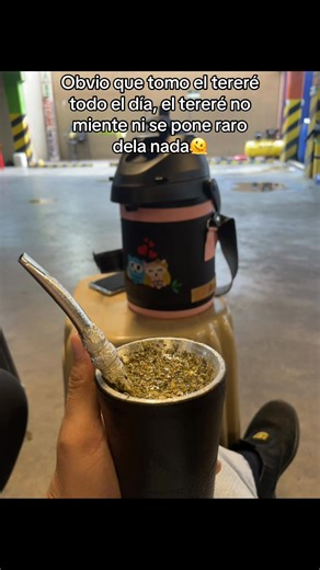Amor por el Tereré: Mi Bebida Favorita del Día