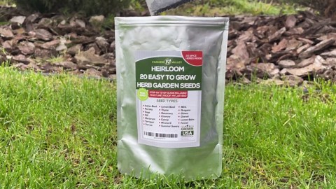 20 Easy to Grow Spice and Herb Seeds for Home Gardening - Kitchen & Culinary Herb Plant Seeds for Indoor, Outdoor, and Hydroponic Growing, Including Basil, Parsley, Rosemary, Mint & More