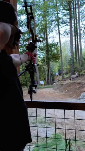 Fast 400gn Arrow Speed with 72lb Bow