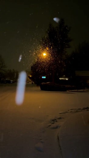 #snow #snowland #snowboarding #naturelovers #lifeisbutadream