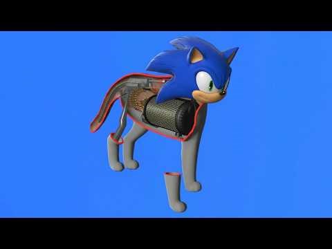 How a sonic works