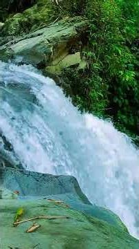 Relaxing River Stream Sounds for Focus and Study