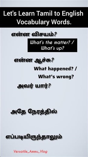 Tamil to English Phrases | What’s the Matter • What Happened • Who Is That • However