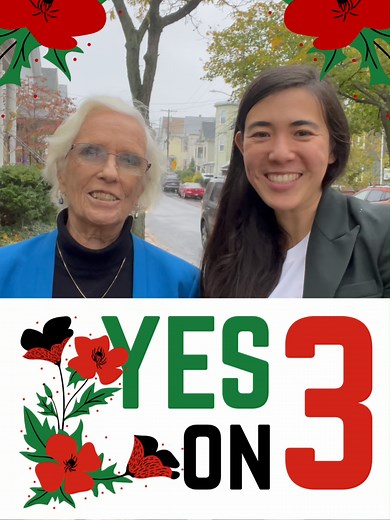 VOTE YES on 3 to divest Somerville tax dollars out of companies complicit in the ongoing occupation, apartheid, and genocide in Palestine. This includes divesting from surveillance technology and weapons manufacturers such as Lockheed Martin. Question 3 is a public opinion advisory question that expresses our support for the people of Palestine, but implementation is up to the city. Voting Yes on 3 is an important way to make your voice heard.