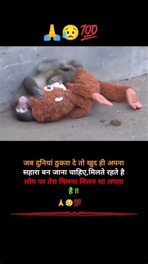 जब सबने ठुकराया, इस बंदर ने टेडी को बनाया अपना दोस्त 🙏💯Emotional Life Lesson 🥺 #motivation #shorts