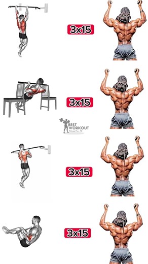 Complete Back Workout | Lats, Traps & Rear Delts