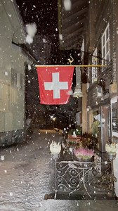 🎥 Sylvia Michel Photography #switzerland #winter #snowfall | Sylvia Michel Photography