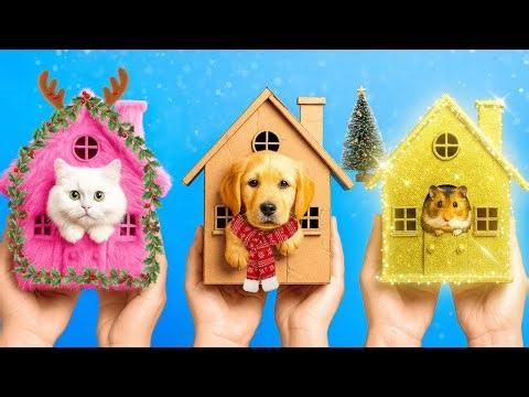 🏠 Rescuing Pets & Building the Cutest Mini House! 🐾 DIY Pet Hacks by 123GO