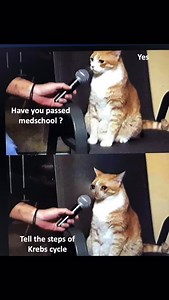 What will you add 🥲 #medschool | Medical Addicts