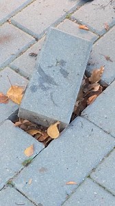 1.8K views · 3 comments | Coolest way to repair driveway; a miniature pool took place of the missing tile! ️ | Nice Advice | Facebook