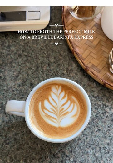 How to Froth Milk with Breville Barista Express