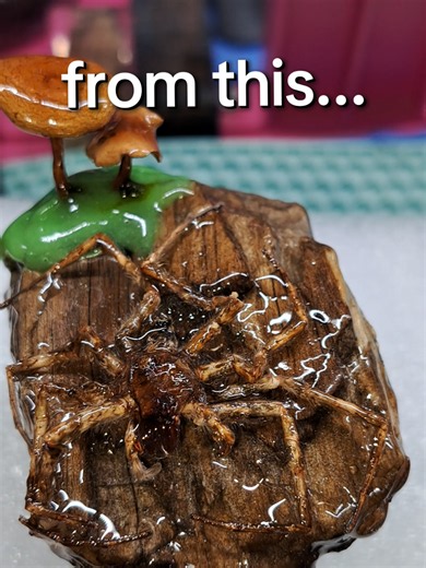 Resin Sphere with Preserved Spider: Sanding & Polishing Tips