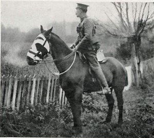We will not forget: remembering the horses who gave their lives in war - Horse & Hound