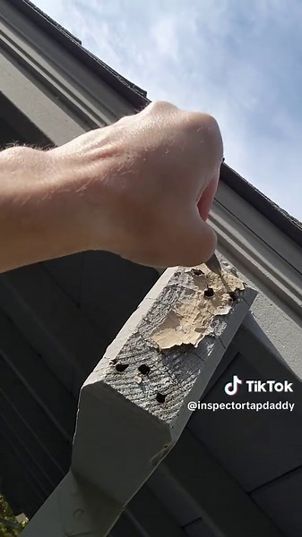 Effective ASMR Tapping Techniques for Pest Control