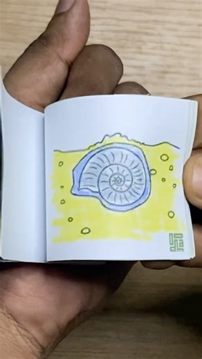 How Fossils Are Formed Flipbook #activity #animation