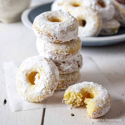 Baked Mini Donuts