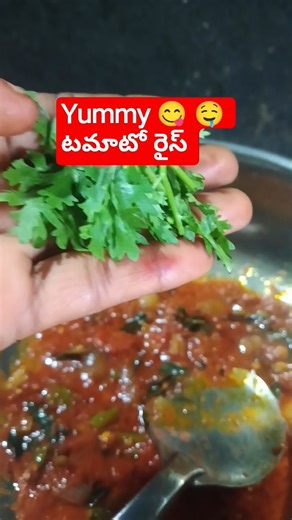 #Pillala kosam #early morning# launch box #Tomatorice #viralvideo