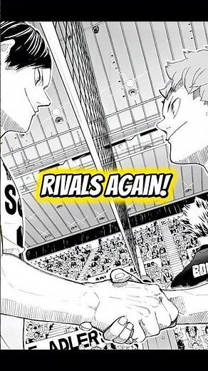 Hinata’s Comeback: MSBY Black Jackals vs Schweiden Adlers Haikyuu Timeskip