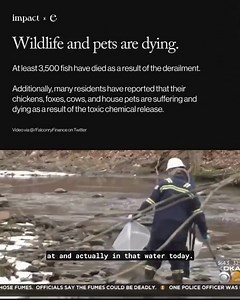 Common Sense Soapbox on Reels