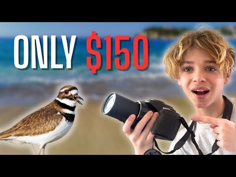 Panasonic Lumix FZ70 Review: The Best Cheap Birding Camera?