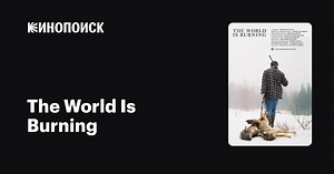 The World Is Burning, 2013