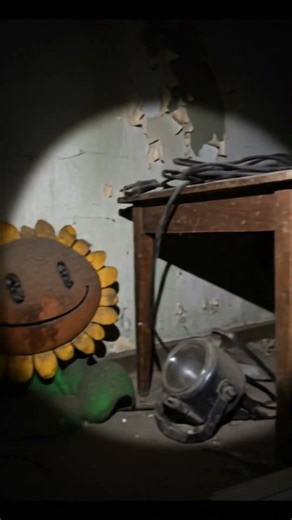 Plants Vs. Zombies | Abandoned Sunflower