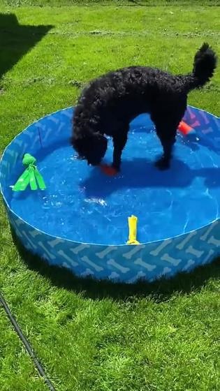 02af5e75e7fe42e58806b08b02a456d1