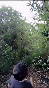 Kusoga mo toyok uyy | Abel Cagalawan