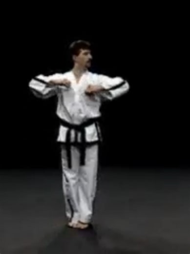 Tul Po-Eun en Taekwon-Do ITF: Ejecución y Formas