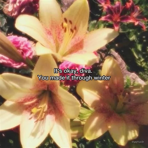 tomorrow is spring. #spring #march #foryoupagе | spring