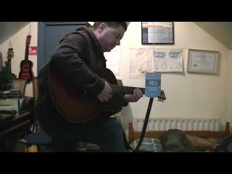 HONDO H124AM Acoustic Guitar Restored