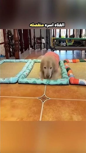 لم تستطيع ابعادهم !