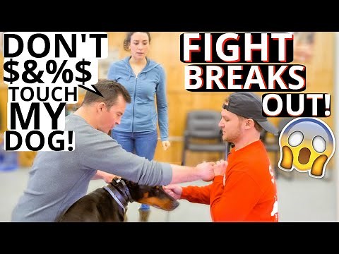 Dog training collar with remote + what is the difference between shock collar and e collar