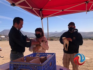 Llevaron jornada de servicios a residentes de Lomas Altas II y de Puerto Nuevo