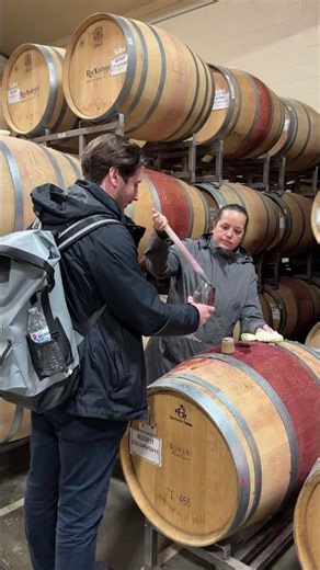 The Best Day Trip from San Francisco 🍷 #Shorts