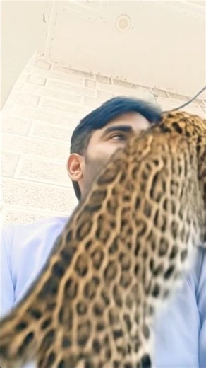 chhodo ##re Gurjar ke ##chhora Main Ma##r jaaungi#