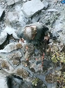 41K views · 14 reactions | Top movies netflix 2024 | Brian Gamer28 Offcial | Facebook