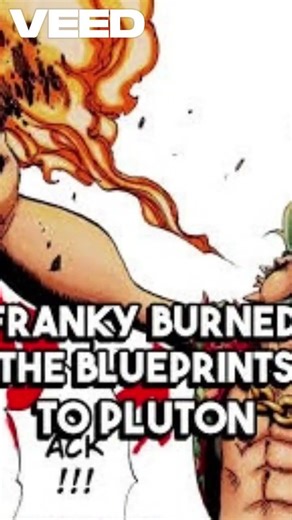 Franky Burns Blueprints #onepiece #anime #animeheroes #manga #viral #viralshorts #viralvideo #franky
