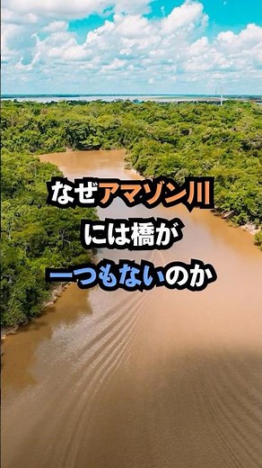 【アマゾン川】世界で2番目に長い川に橋がない理由とは