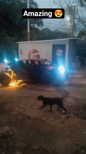 Canam En Bella Vista Sosúa Dominican Republic 🇩🇴☝🏽#sosua #automobile