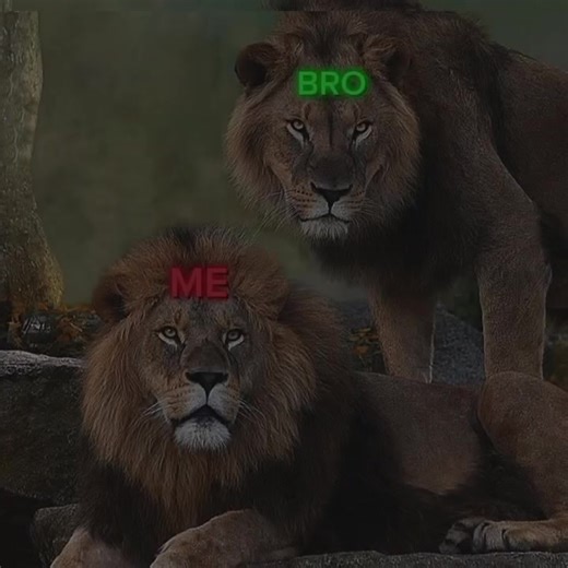 mon pseudo : CHEIKHNA067 #fyppppppppppppppppppppppp #gamesnotiktok #viral #roblox #codm @Roblox @🥷MHD🇸🇳ROBLOX ✪ @Roblox mvv 🌊🤍🤍 @pretty galsen 💗robloxi @Roblox galsen 🇸🇳