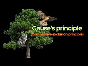 Gause’s Principle (competitive exclusion principle)